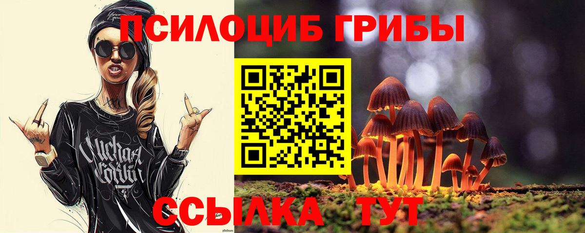 Галлюциногенные грибы Cubensis Ревда