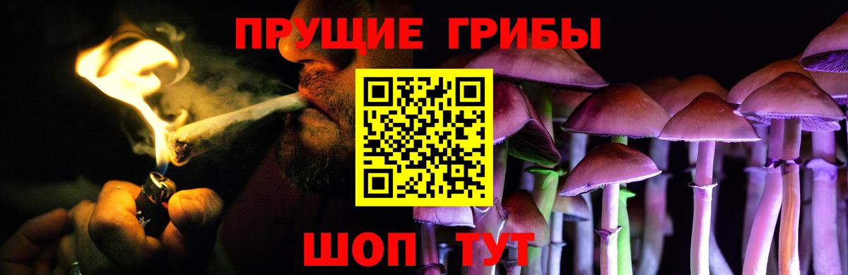 Псилоцибиновые грибы прущие грибы  Вход с VPN  Ревда 